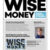 Wise Money Workshop
