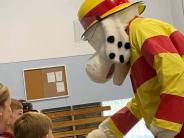 Sparky w/ ACFD