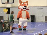 Gutsy fox