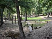 Park Trees and Outdoor Workout Equipment