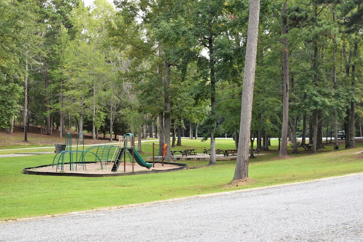 Playground area with picnic tables
